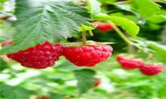 瓶拆水行业正派历一场从“解渴东西”到“糊口